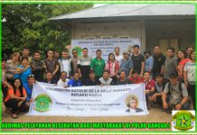 Refleksi Karya Civitas Unika De La Salle Manado