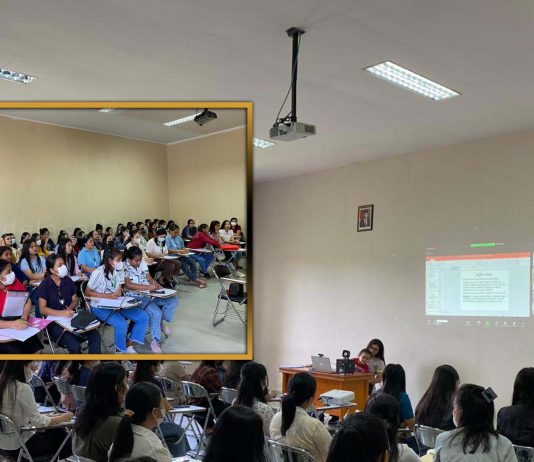 Kuliah Pakar “Kiat Sukses Penulisan Skripsi” bagi Mahasiswa Tingkat Akhir UKDLSM